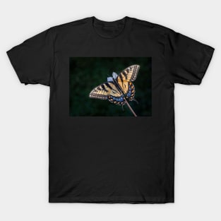 Tiger Swallowtail Butterfly backlit T-Shirt